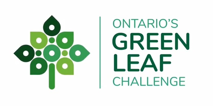 green leaf challenge