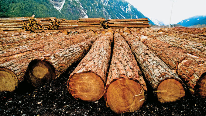 Canadian Lumber
