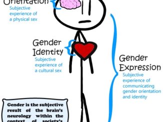 New guidelines for gender expression, orientation and identity for immagration