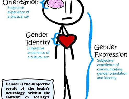 New guidelines for gender expression, orientation and identity for immagration