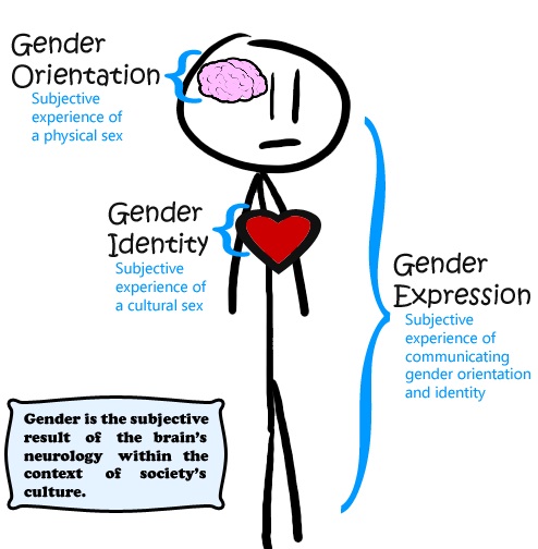 gender-orientation