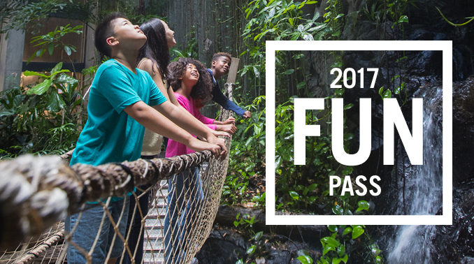 Kids at an attraction available through the fun pass 2017