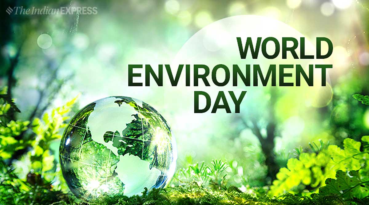 world-environment-day-amp