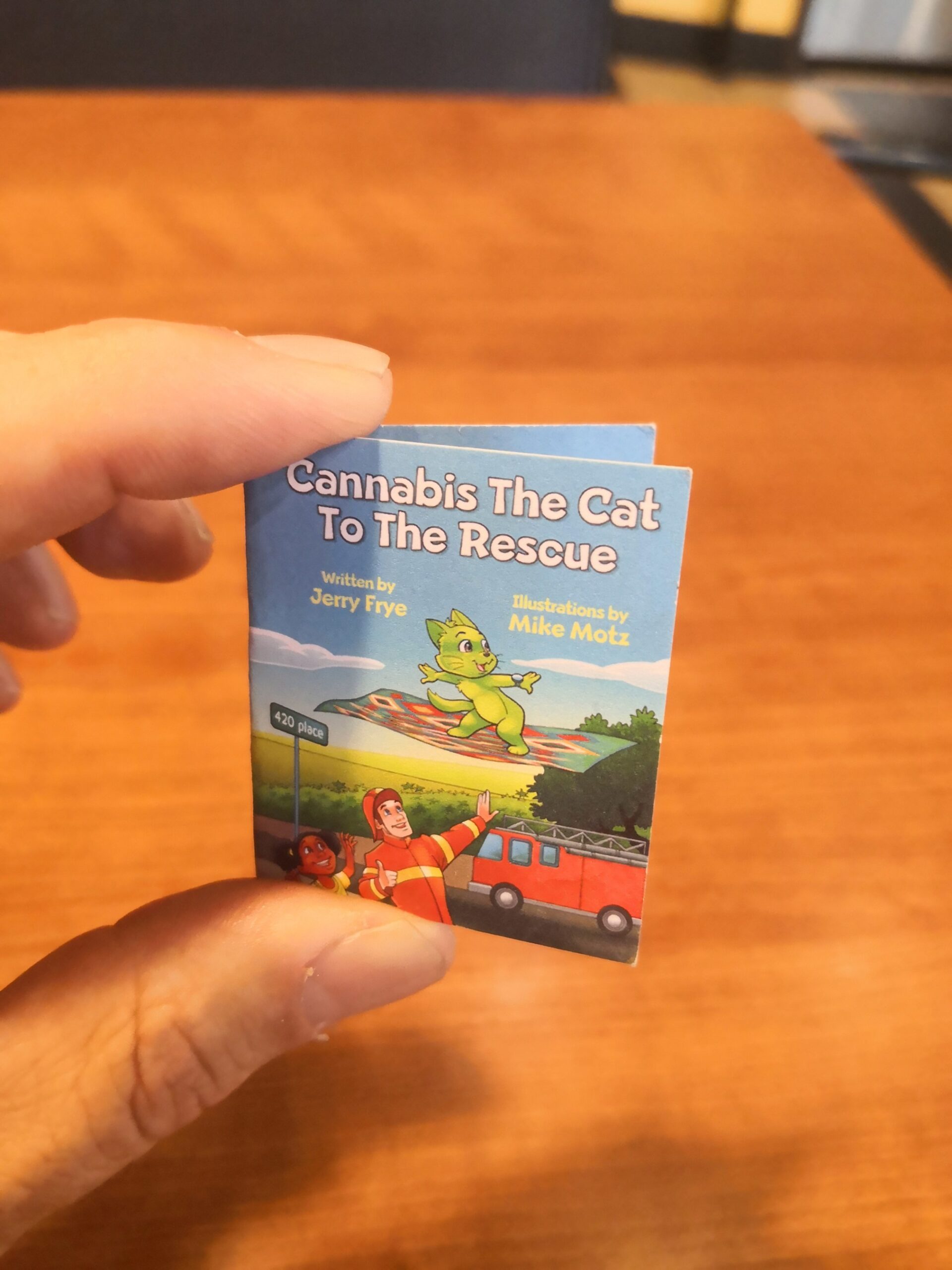 Cannabis The Cat-To-The-Rescue
