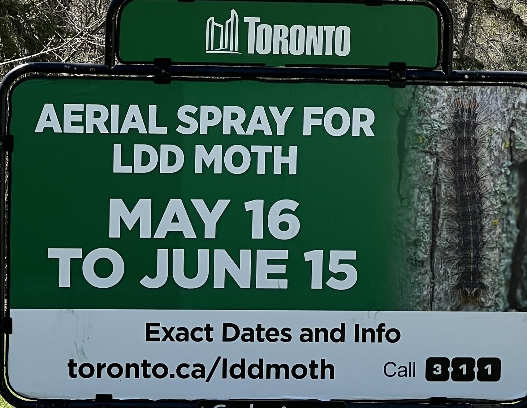 LDD moth aerial spray
